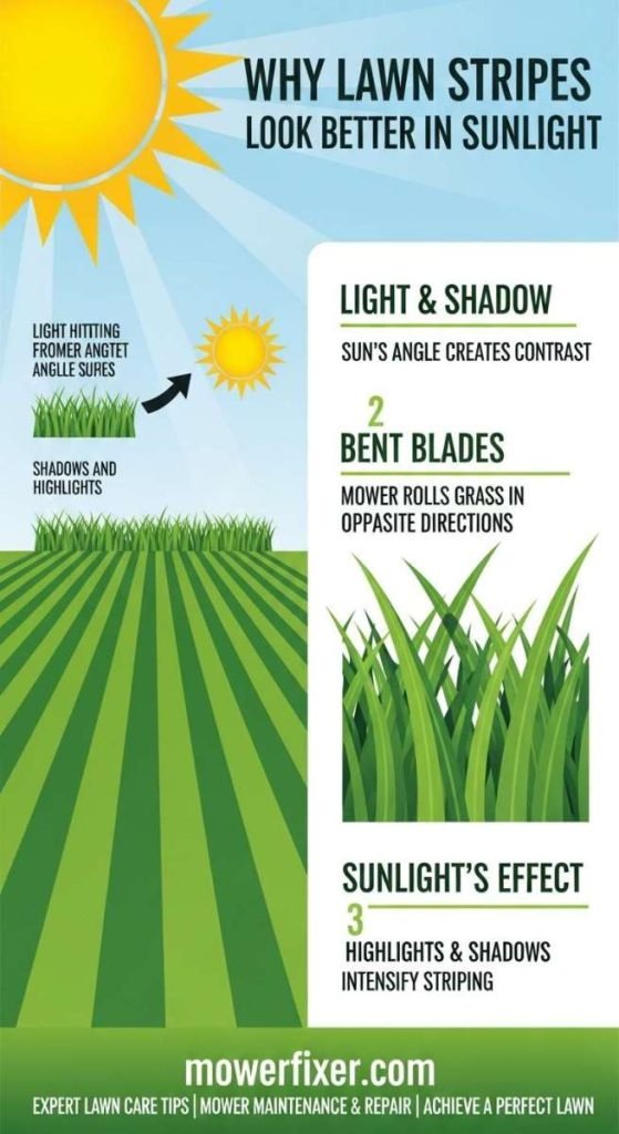 Sunlight's Effect on Lawn Stripes