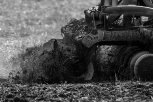 best time to aerate and overseed lawn