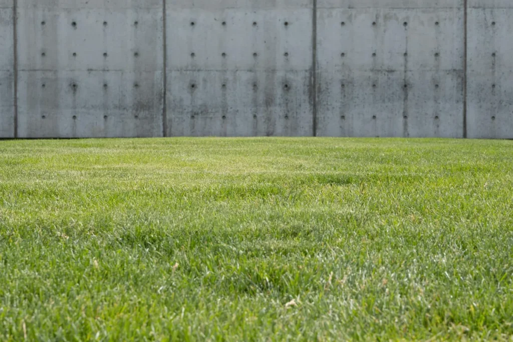 best time to aerate lawn in ohio