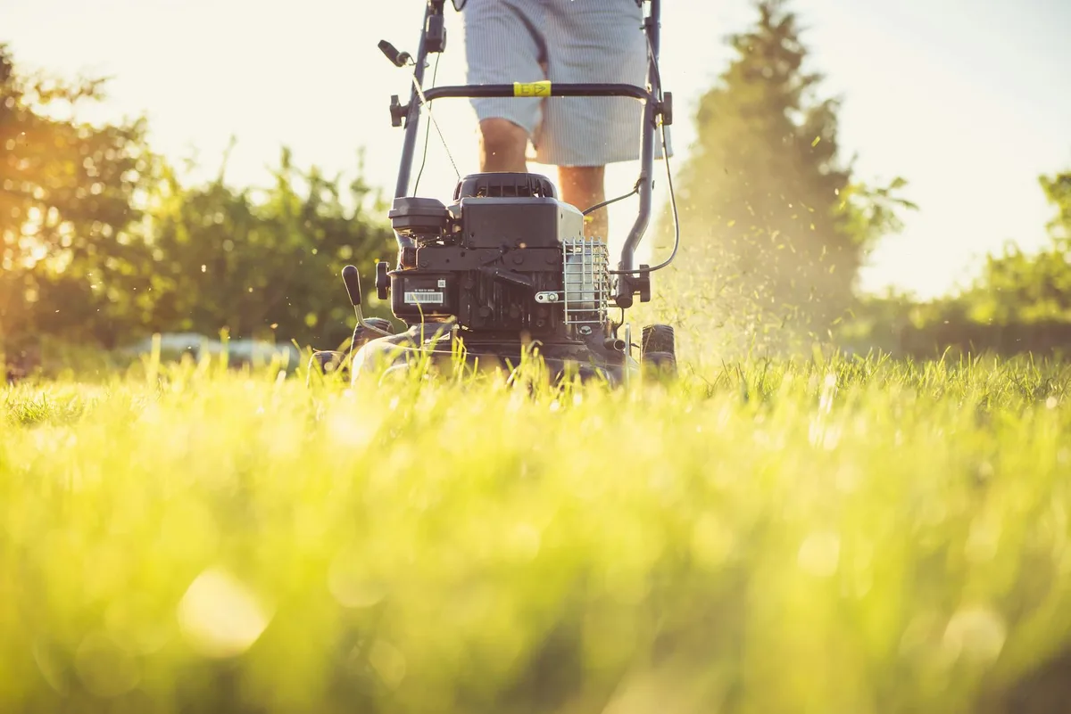 best time to buy mower