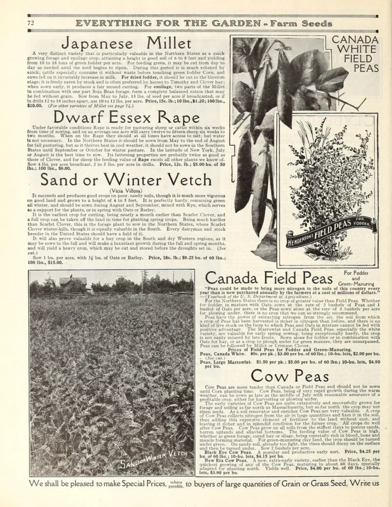best time to grow grass in massachusetts