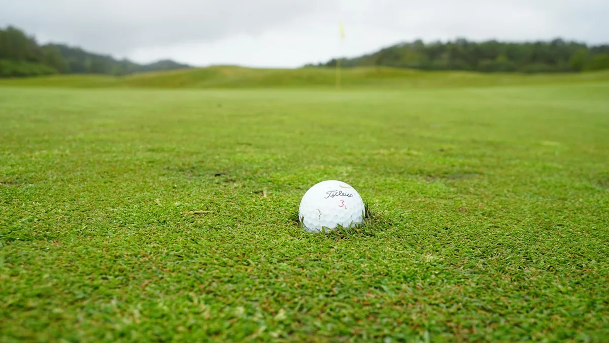 best time to plant zoysia plugs