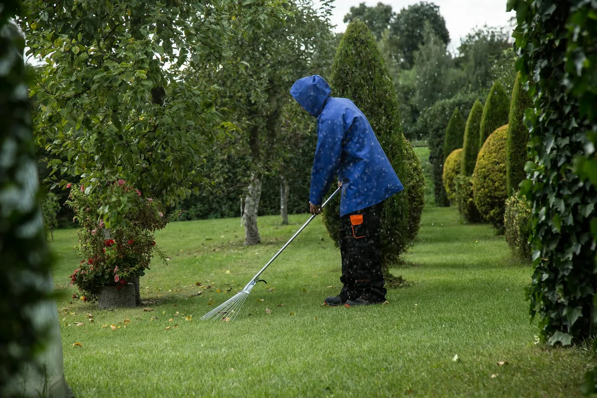 best time to power rake lawn