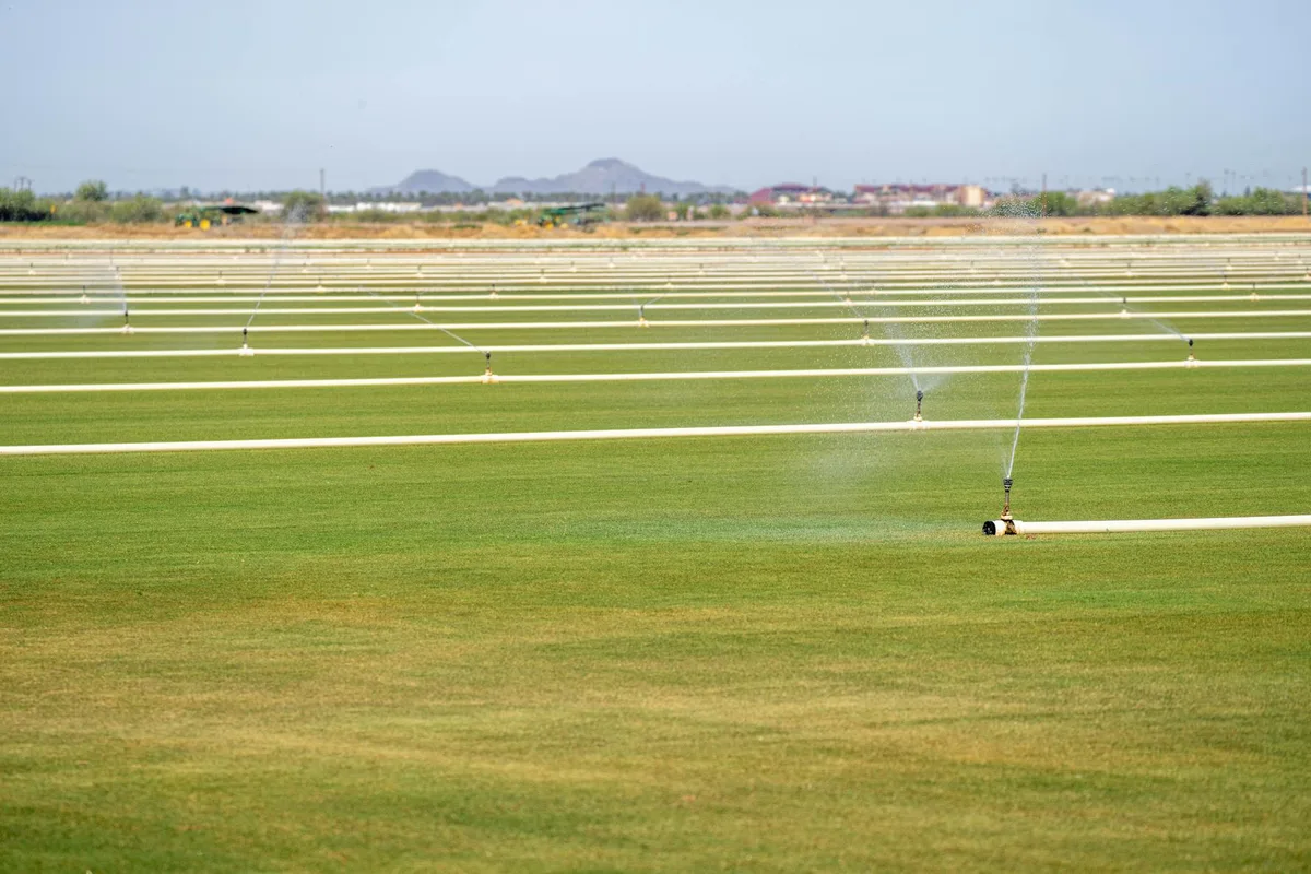 smart sprinkler controller