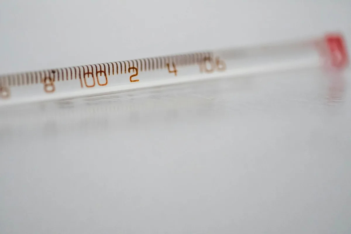 soil temperature for grass seed