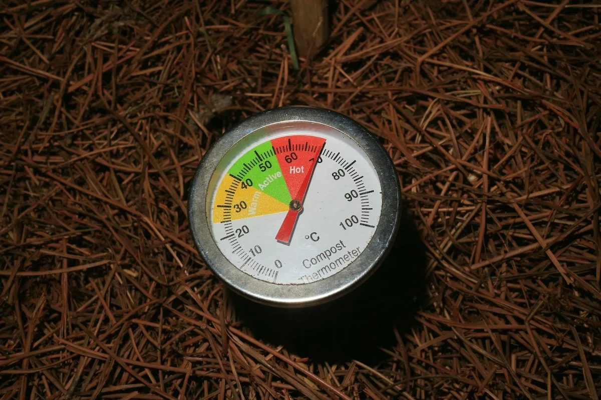 soil temperature probe lawn